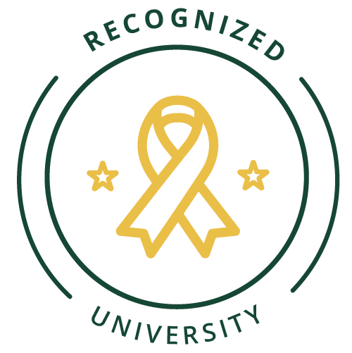Icon representing military-friendly school